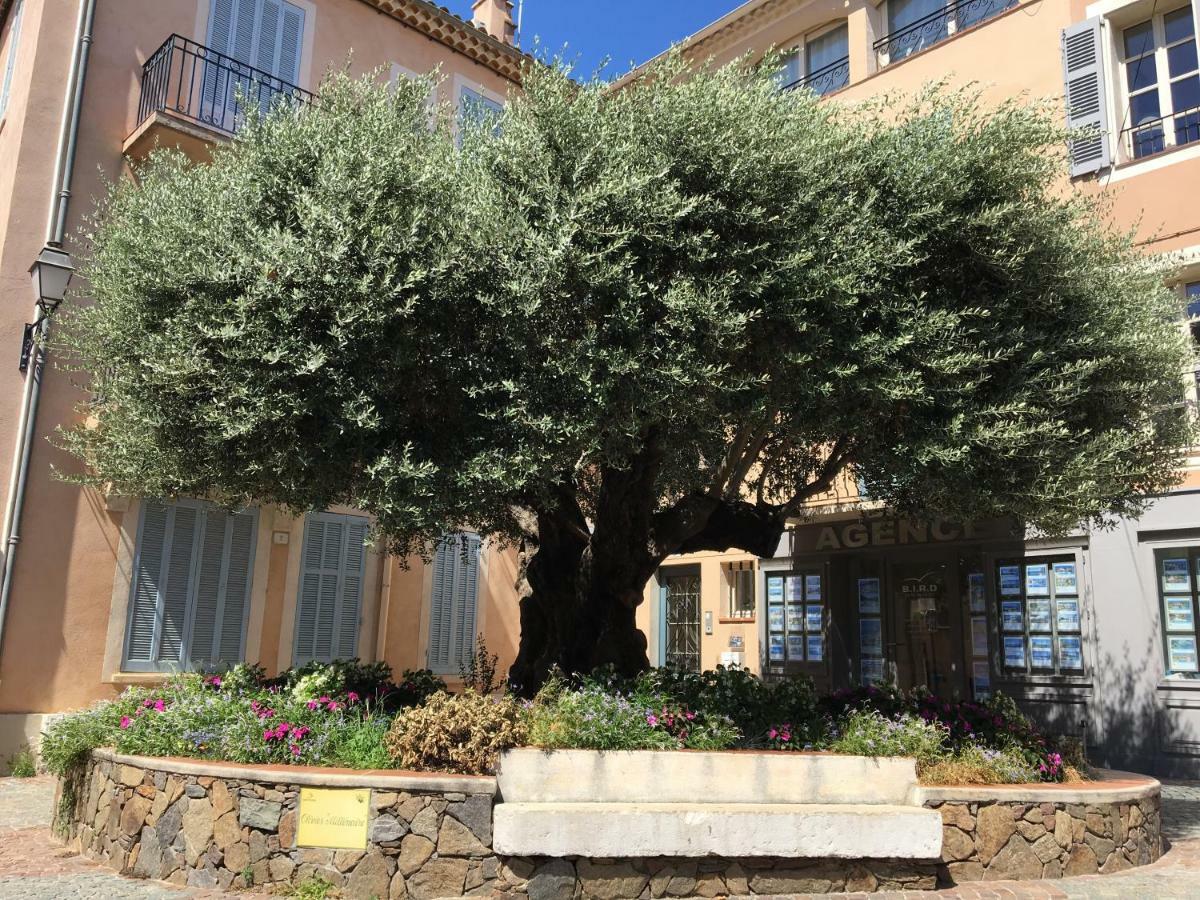 Bastide Du Levant Sainte-Maxime Exteriér fotografie